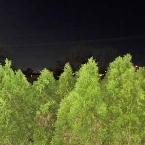 Meet your Posher, Daniil